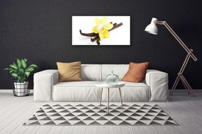 Obraz Canvas Vanilka rastlina príroda 120x60 cm