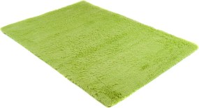 TA Koberec P.GREEN P.GREEN HODVÁB Rozmer: 120x170 cm