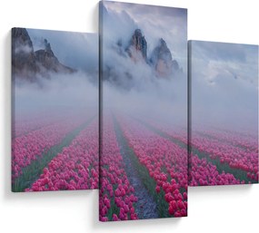 Obraz - Krajina s tulipánovými poľami (90x60 cm)