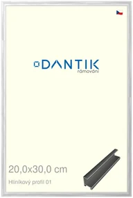 DANTIK rám na obraz 20x30 | ALU Stříbrná lesklá (Sklo Čiré)