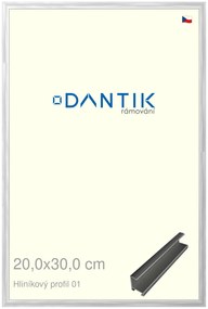 DANTIK rám na obraz 20x30 | ALU Stříbrná lesklá (Sklo Čiré)