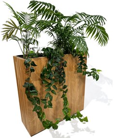 Dekorstudio Elegantný drevený dubový kvetináč do interiéru aj exteriéru 60x60x20cm