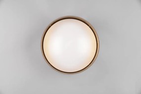Svetlohnedé LED stropné svietidlo ø 30 cm Locarno – Reality