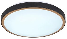 Globo 41765-12 - LED Stropné svietidlo SAMMI LED/12W/230V 3000/4500/6000K