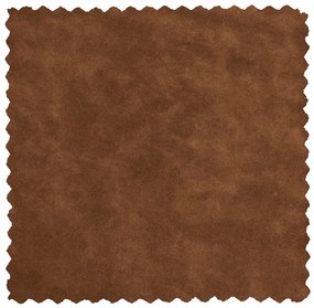 Koňakovohnedé čalúnené jedálenské kreslo s podrúčkami Fenne – WOOOD