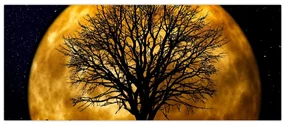 Obraz mesiace a siluet (120x50 cm)