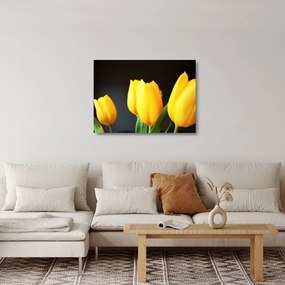 Sklenený obraz tulipánov (70x50 cm)