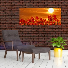 Obraz rozkvitnutého lánu s tulipánmi (120x50 cm)