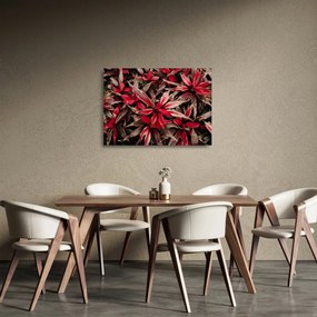 Sklenený obraz červených okvetných lístkov (70x50 cm)