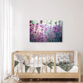 Obraz - Levanduľa (90x60 cm)
