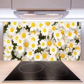 Sklenený obklad Do kuchyne Sedmokrásky kvety 120x60 cm