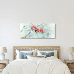 Obraz zmrznutých šípok (120x50 cm)