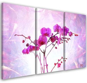 Obraz na plátně třídílný, Základní orchidej - 120x80 cm