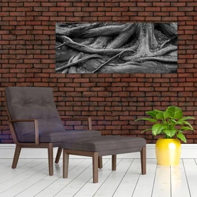Obraz - Korene stromu (120x50 cm)