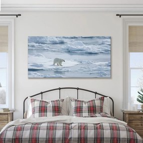 Obraz polárny medveď na ľadovej kryhe