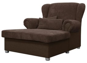 Tmavohnedá menčestrová leňoška Lord – Ropez