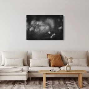 Obraz - Lúčna tráva (90x60 cm)