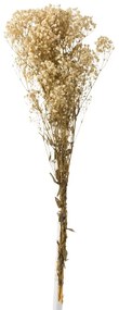 Zväzok prírodnej sušenej trávy Gypsophila - 10*5*84 cm