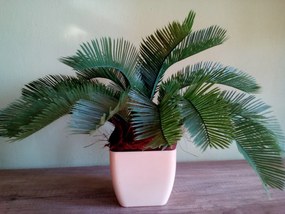 Umelá rastlina- Cykas 40 cm