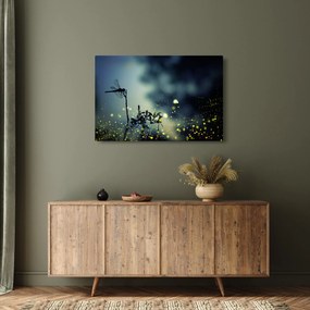 Obraz - Vážka za trblietavej noci (90x60 cm)