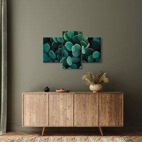 Obraz - Opuncie (90x60 cm)