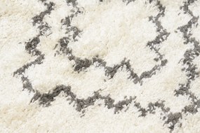Dizajnový koberec BOHO - SHAGGY ROZMERY: 200x290