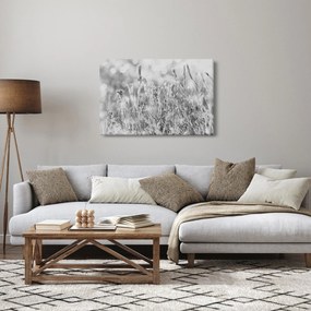 Obraz - Chladná zima (90x60 cm)