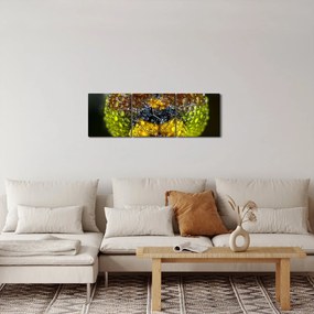 Detailný obraz očí hmyzu (s hodinami) (90x30 cm)