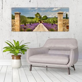 Obraz - Levanduľové cesty (120x50 cm)