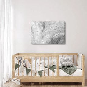 Obraz - Pampas grass N⁰1 (90x60 cm)