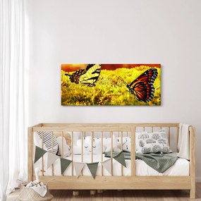Obraz motýľov (120x50 cm)