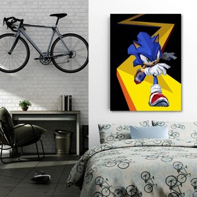 Gario Obraz na plátne Sonic - Nikita Abakumov Rozmery: 40 x 60 cm