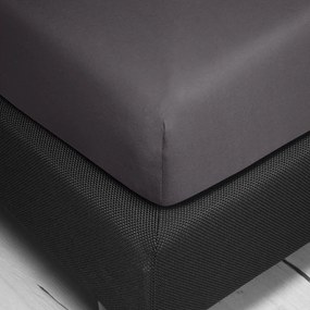 Bierbaum jersey plachta stein - kamenná sivá - 140-160 x 200 cm