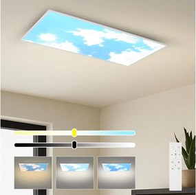 BRILAGI - LED stmievateľné stropné svietidlo SLIMFRAME SKY LED/80W/230V 120x60 cm + diaľkové ovládanie