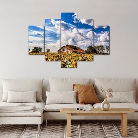 Obraz slnečnicového poľa (150x105 cm)