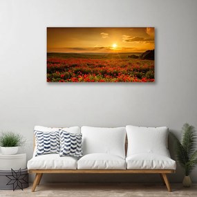 Obraz Canvas Pole maky západ slnka lúka 120x60 cm