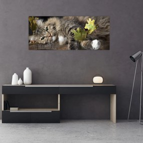 Obraz - Ležiaca mačka (120x50 cm)
