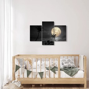 Obraz - Pláž za splnu v šedých tónoch (90x60 cm)