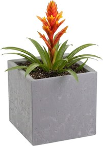 Sada 2 ks květináčů BETONIQUE 30x30/30x60 cm - výber z 4 prevedení