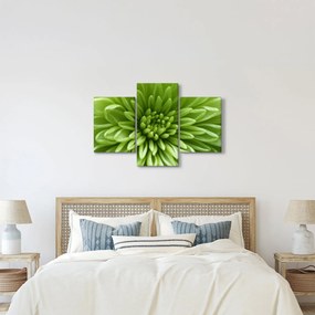 Obraz - Makro snímka rastliny (90x60 cm)