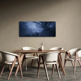 Obraz temného lesa (120x50 cm)