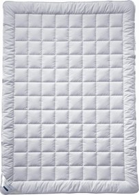 XXXLutz LETNÁ PRIKRÝVKA, 155/220 cm, hodváb Billerbeck - Prikrývky & vankúše - 003279054602