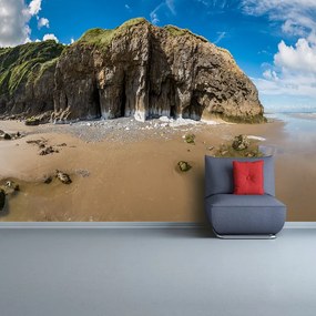 Fototapeta Vliesová Pláž walese 250x104 cm