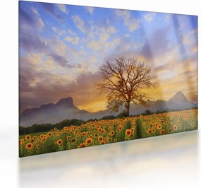 Sklenený obraz - Krajina so slnečnicami (70x50 cm)