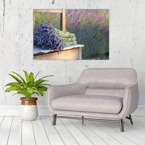 Obraz - Levanduľové zväzky (90x60 cm)