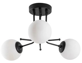 Daisy-147-AV3