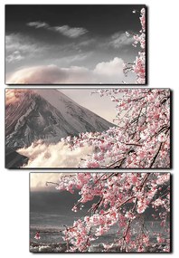 Obraz na plátne - Hora Fuji a čerešňové kvety na jar - obdĺžnik 7266QD (90x60 cm)
