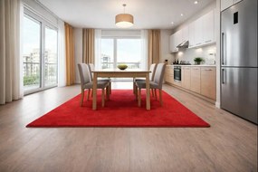 Spoltex, Kusový koberec Eton červený 15, 200x300, červená, chodba / predsieň