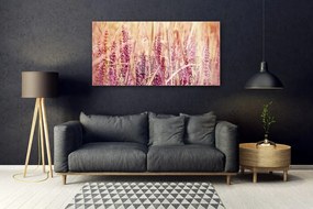 Obraz plexi Pšenica rastlina príroda 120x60 cm