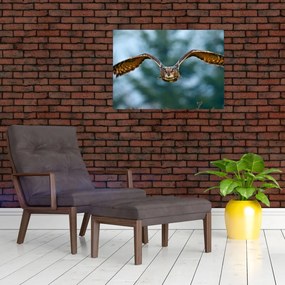 Sklenený obraz - Sova pri lete (70x50 cm)